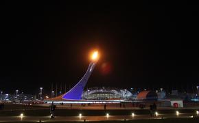 Медведев: некоторые объекты сочинской Олимпиады используются по максимуму