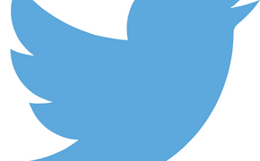 Twitter могут запретить на территории России
