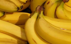 Банан в Иркутске дал плоды
