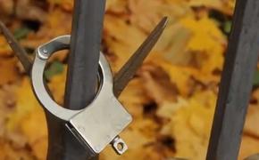 В Приморском районе по подозрению в хищении иномарок задержана группа угонщиков