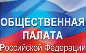 Некоммерческие организации Сибири высказались о наболевшем