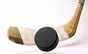 Хоккеистов СКА с Кубком Гагарина встретили в Пулково тысячи болельщиков