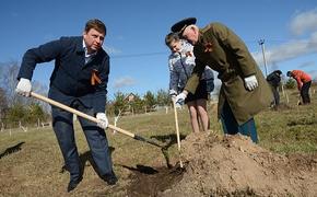 Яблоневые «Сады Великой Победы» заложены в Тверской области