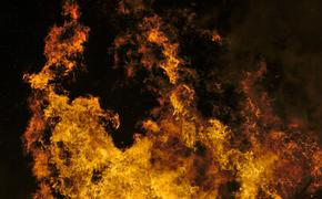 Обнародовано количество пострадавших от пожаров в Хакасии