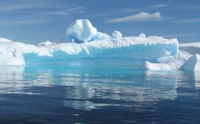 Российские власти выделили 205 млн рублей на исследования в Арктике