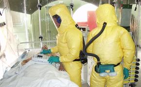 В Южной Корее стремительно растет число заразившихся вирусом MERS