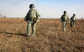 33 мины времен войны нашли в Курской области