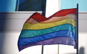 Депутат предлагает запретить в России ЛГБТ-флаг