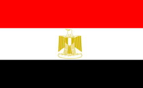 Боевики "Исламского государства" убили в Египте 50 человек