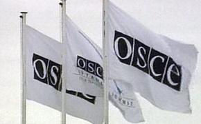 ДНР предложила ОБСЕ проверить вывод всех ополченцев из Широкино