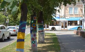 Деревья в Пензе наряжают в вязаную одежду