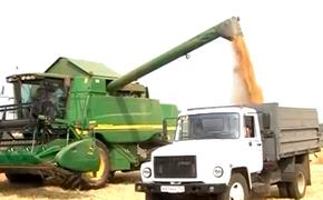 Самарская область планирует получить урожай не менее 1 млн тонн зерна