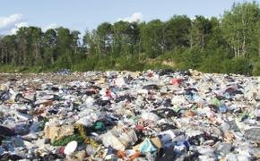 2,5 процента территории Крыма завалено мусором