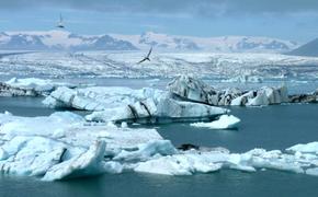 В Арктике будут развиваться российские поселения