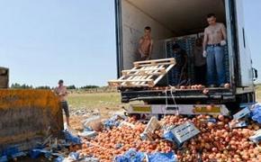 Более полутоны литовско-чилийских груш уничтожено в Калининградской области