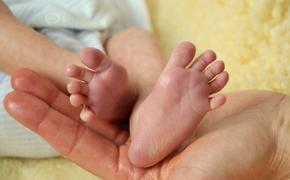 Новорожденный, выброшенный в подмосковном Королеве, помещен в местную больницу
