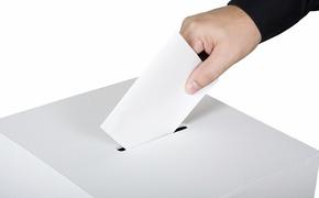 Единая Россия» не заявилась на выборы в Солнечном