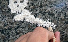В Калининграде в замороженном фарше нашли полтонны кокаина