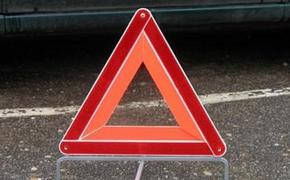 В ДТП с маршруткой в Петербурге пострадал водитель