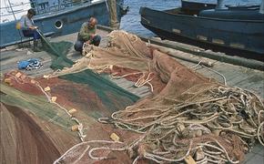 Крымские рыбаки установили новые рекорды уловов