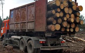 Лесам Иркутской области нанесли ущерб на 2 миллиарда 148 миллионов рублей