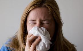 В декабре-январе в РФ начнется эпидемия гриппа