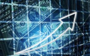 Акции "Трансаэро" резко увеличились - на 113,24%