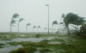 Наивысшая категория опасности присвоена урагану "Патрисия" у берегов Мексики