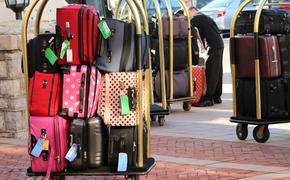 После приостановки авиасообщения с Египтом в РФ доставлено более 100 тонн багажа