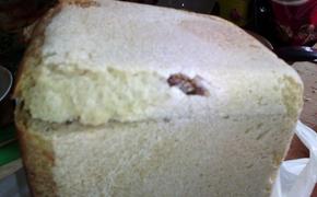 В Евпатории продают хлеб с тараканами