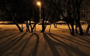 В Петербурге спасатели вновь предупреждают об усилении ветра