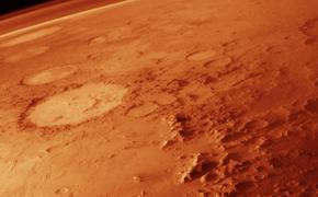 На поверхности Марса разглядели ракушку гигантских размеров ВИДЕО