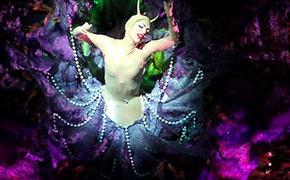 «Золотая маска» покажет петербуржцам «Самоубийцу»