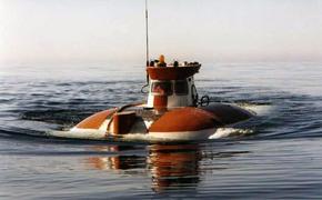 Секретная &laquo;Русь&raquo; всплыла в штатном режиме