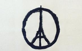 В Бельгии задержаны пять причастных к терактам в Париже
