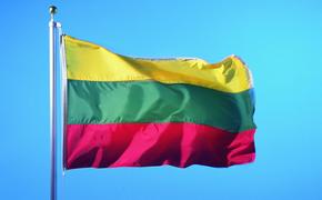 Литва планирует помочь беженцам в Турции