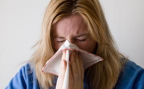 Заболеваемость гриппом в Подмосковье ощутимо снизилась