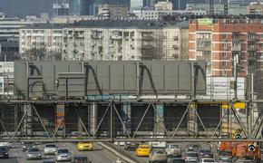 Московских автовладельцев призывают не оставлять машины под деревьями