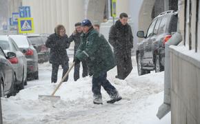 За сутки в Москве выпало более половины месячной нормы осадков