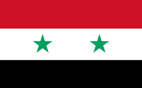 Сирийские власти согласились с заявлением РФ и США о прекращении боевых действий
