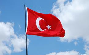 Турция не намерена в одиночку вступать в войну на территории Сирии