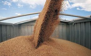 Экспорт зерна идёт на рекорд