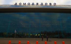 Пассажиров в аэропорту Домодедово досматривают тщательней, чем обычно ФОТО