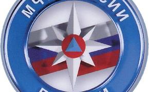 В Репино доставили раненого белька со льда Финского залива