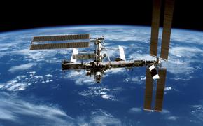 Экипаж МКС намерен вырастить в космосе капусту