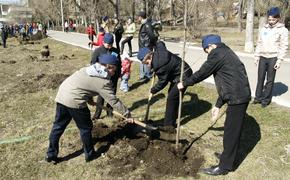 Весной в Москве посадят 245 тысяч кустарников и деревьев