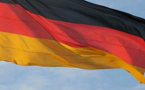 Немцы боятся русской «Системы» и арабской мафии