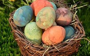 В Крыму дерево с яйцами появится к 1 мая  в Ялте