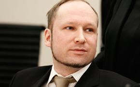 Алексей Пушков предложил по субботам организовывать для Брейвика вечеринки