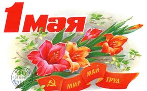 Петербургская полиция насчитала 200 тысяч демонстрантов на Первомае